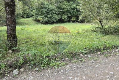 Teren de vis de 2.800 mp pe Valea Tărcăului – Cu lac natural și pădure - 8