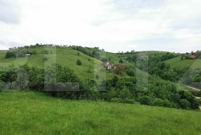 Teren Construcții intravilan de 12928 mp, în Zărnești