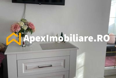 Garsoniera de inchiriat Banu Manta București | ApexImobiliare.ro - 5