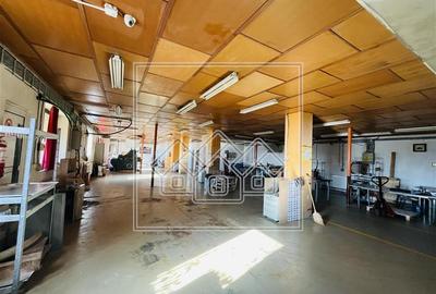 Spațiu industrial, de 510 mp, în Țiglari