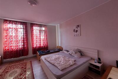 Casa mare, cu teren generos, pentru locuit sau afacere, in Santana - 8