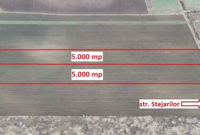 Teren Construcții intravilan de 10000 mp, în Săbăreni