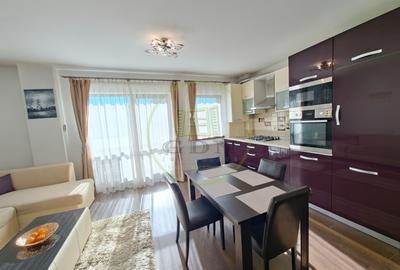 Apartament 3 camere inchiriere Doamna Stanca - 3