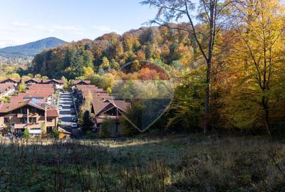 Teren 2,900mp Brasov / Strada Ciresului - 9