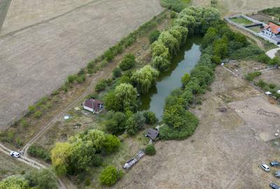 Teren agricol intravilan de 7900 mp, în Frumușeni