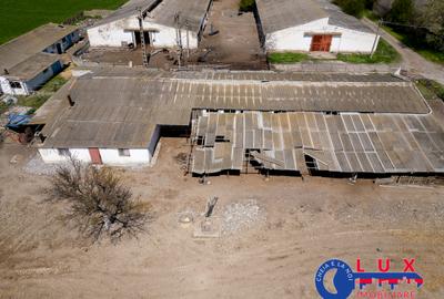 ID 7905 Oportunitate investiție agro-industrială - EXCLUSIVITATE - 7