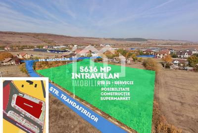 Teren intravilan 5.636 mp UTR Is – Jucu de Mijloc - Comercial/Servicii - 1