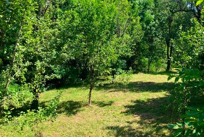 Casa  cu parau la limita proprietatii- zona submontana - 7