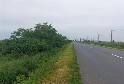 Teren extravilan sos. Arad - Sofronea - 6
