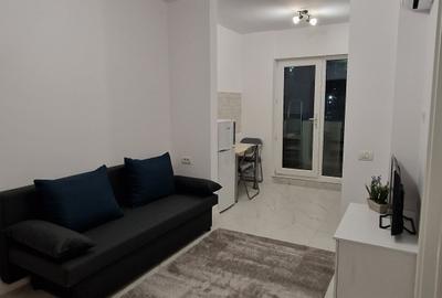 STUDIO DUBLU CU CURTE PRIVATĂ | STRADA BIRUINȚEI 81 RESIDENCE | METROU BERCENI - 3