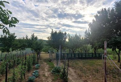 Casa+ hala,cu gradina si livada,Felecheriu,Osorhei,Bihor - 11