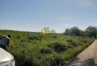 Teren Extravilan, Dealu Viilor, Lugoj - 1