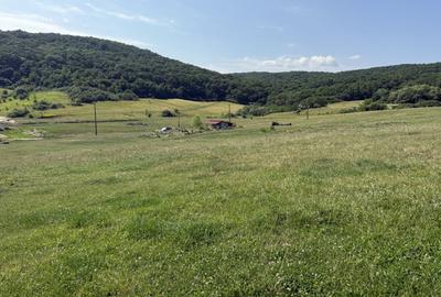 Exclusivitate! Com0%! Teren în Dezmir 5800mp Intravilan/Extravilan front 16,2ml - 8