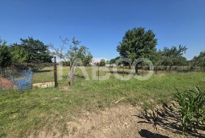 Teren intravilan 2000 mp si extravilan 1150 mp de vanzare in Vad - 2