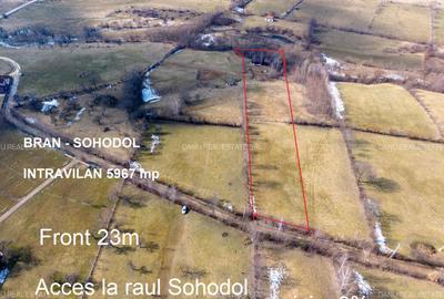 Teren Construcții intravilan de 5967 mp, în Bran
