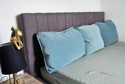 Apartament 2 camere de inchiriat Cismigiu - 6