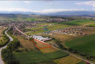 Teren intravilan\constructii \Sura Mare \ Sibiu - 4