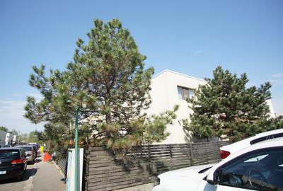 Green City | 1 Decembrie | Vilă cu grădină | Cartier verde privat | Centrală - 34