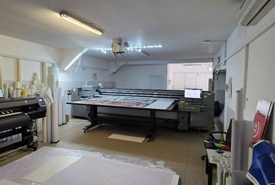 HALĂ PRODUCȚIE / DEPOZITARE – 500 MP – ZONA GIURGIULUI / STR. LUICA - 3