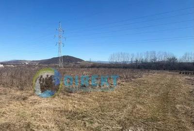 🏭 TEREN INTRAVILAN INDUSTRIAL – SĂRĂȚEL | 9.236 MP - 4