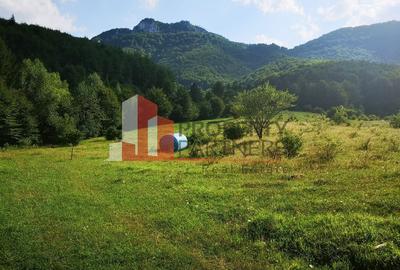 Teren Bran Tohanita | Intravilan 1.379 mp | Vedere Panoramică| - 20
