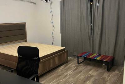 Garsonieră decomandată în Lujerului