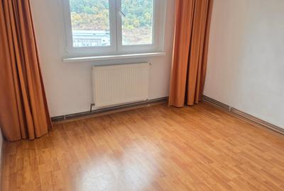 Vand apartament 2 camere decomandat in Deva, zona Micro 15, situat pe mijloc, - 9