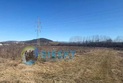 🏭 TEREN INTRAVILAN INDUSTRIAL – SĂRĂȚEL | 9.236 MP - 2