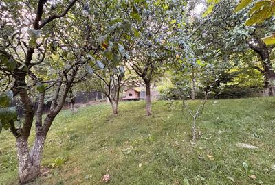Casă S+P+E, Breaza – 195 mp utili, teren 2.431 mp, livadă și foișor - 12