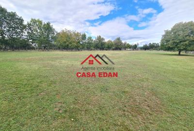 Teren intravilan in Campina--10.072mp--50e - 5