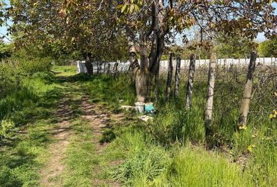 TEREN INTRAVILAN-1566 mp -deschidere 30 m- Astrelor- regim de inaltime P+2 - 3