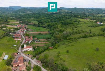 Proprietate de poveste pe Valea Mureșului, Lupești - 10