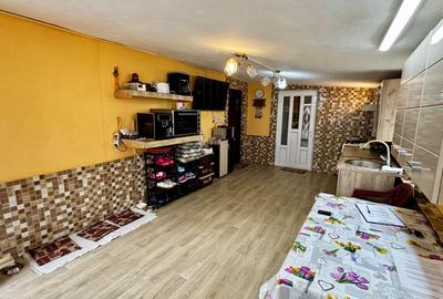 VANZARE 2 CORPURI DE CASA - TEREN 744 MP - BRATASANCA, PRAHOVA - 16