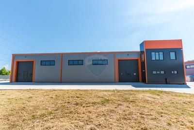Spațiu Industrial - Hala Modernă de Închiriat, 600mp - Iași, 3 Fântâni - 3