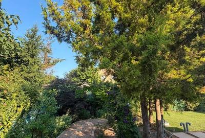 YSAIA IMOBILIARE - CASA DE VANZARE - TEREN 330 MP - ZONA LINISTITA - - 25