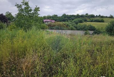 Teren intravilan 2700 mp, Moara-Bulai / Strada Hagigadar, Suceava - 14