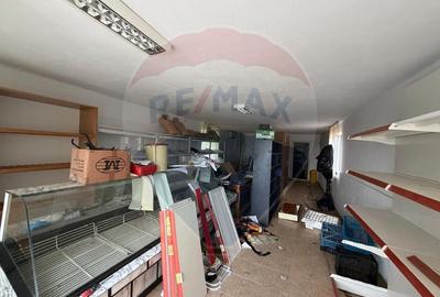 Casa si spatiu comercial (P+1 ) de vanzare - 9