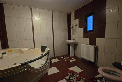 Casa P+M, garaj, beci, teren 494 mp - Ethos - 10