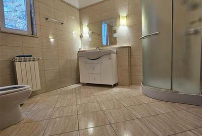 IANCU NICOLAE, S+P+1, 6 CAMERE, 410 MP, PISCINA, CURTE SUPERBA! - 15