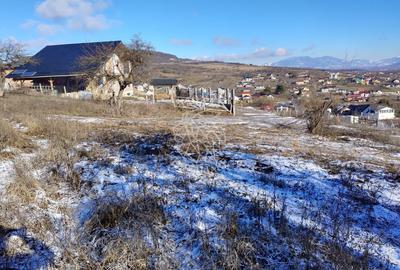 Teren Construcții intravilan de 1425 mp, în Vest