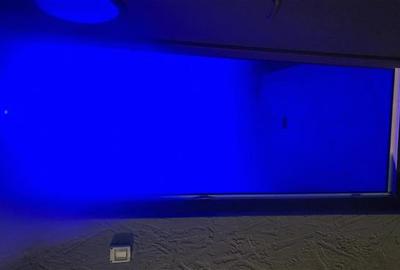 Vila PREMIUM, piscina, teren 2000 mp, POSTA CALNAU - 19