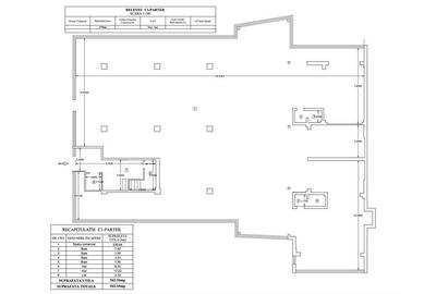 Spatiu comercial Tatarasi, langa Carrefour, 562mp - 7