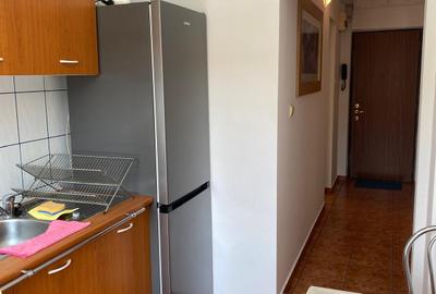 Dorobanti Caragiale-ASE- contract ANAF- pet friendly - 10