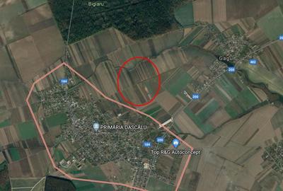 Teren Construcții extravilan de 19000 mp, în Dascălu