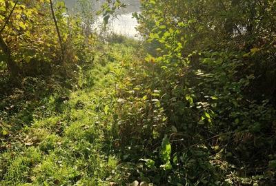 Proprietar | Teren exclusivist cu deschidere directă la Balta Pipera – 1.600 mp - 5