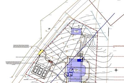 Teren INTRAVILAN cu Pădure-Bucium NATIVA Parc-1500 mp + proiect de casă ! - 6