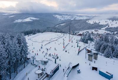 Casă montană cu 3.000 mp teren | Dorna Arini – lângă Vatra Dornei - 9