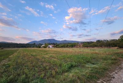 Teren intravilan 8.280 mp, utilități și construcții – Bistrița, Neamț - 3