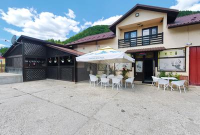 Spațiu comercial, de 230 mp, în Tulnici
