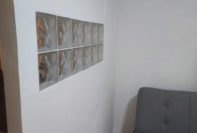 Inchiriere garsoniera ultracentral, renovata, 400 euro - 4